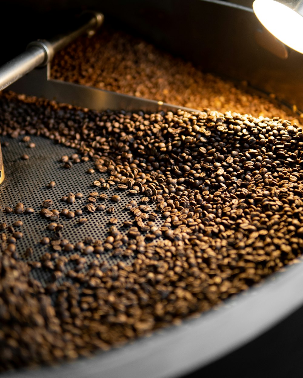 Café recién tostado girando en la bandeja de enfriamiento